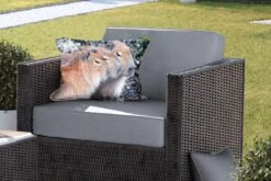 Sierkussen Capibara Voor Buiten - Drie Capibaras Die Op Een Rij Rusten - 50x30 Cm - Rechthoekig Weerbestendig Tuinkussen / Tuinmeubelkussen Van Polyester -Pillowmonkey 1200x800 3041