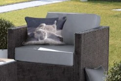 Buitenkussens - Tuin - Kat Op Een Grijze Stoel - 50x30 Cm -Pillowmonkey 1200x800 3049