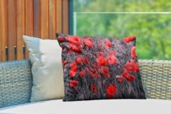 Buitenkussens - Tuin - Rode Klaprozen In Een Zwart Wit Afbeelding - 60x40 Cm -Pillowmonkey 1200x800 3067