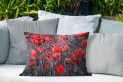 Buitenkussens - Tuin - Rode Klaprozen In Een Zwart Wit Afbeelding - 60x40 Cm -Pillowmonkey 1200x800 3068