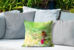Buitenkussens - Tuin - Roodborst Op Een Roze Bloem - 40x40 Cm -Pillowmonkey 1200x800 3088