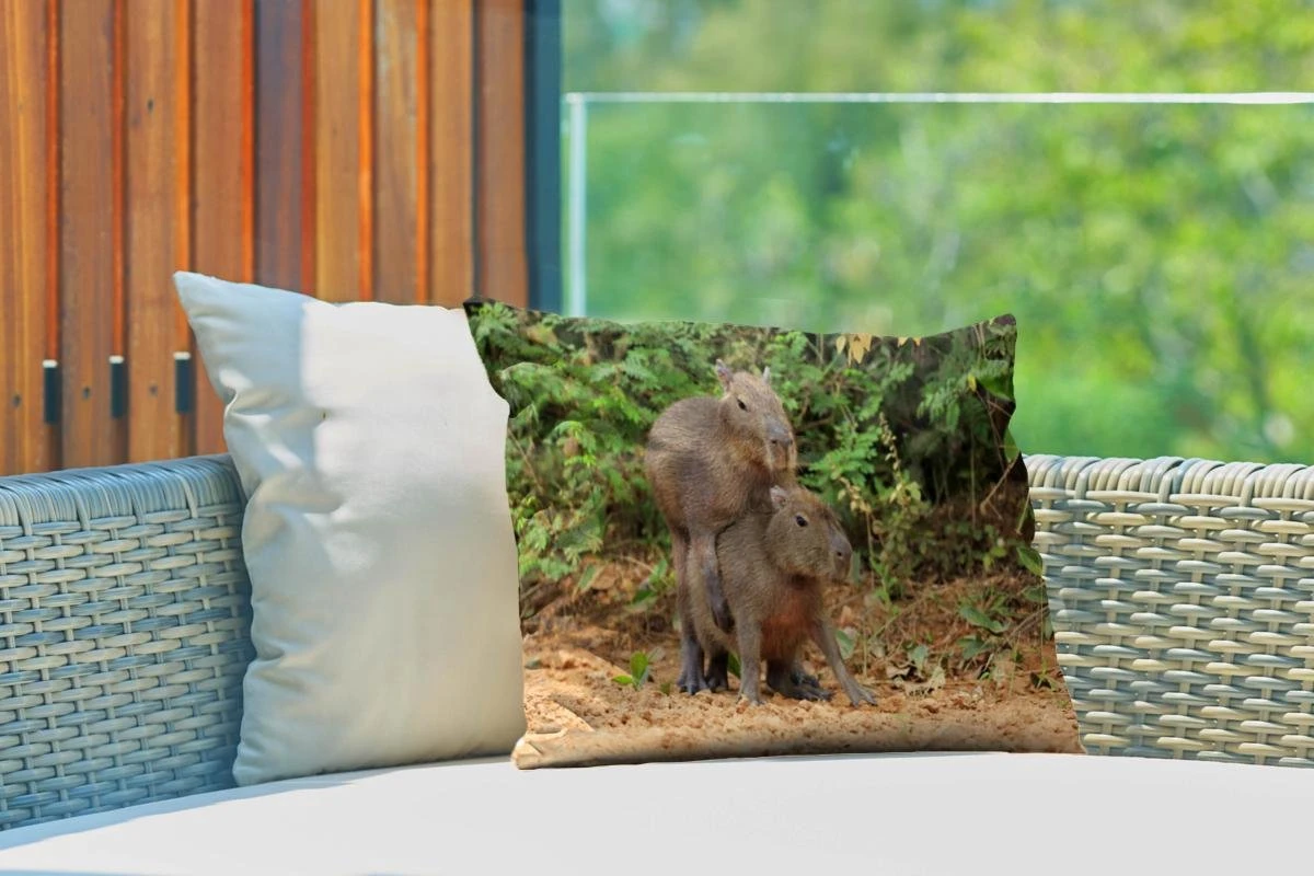 Sierkussen Capibara Voor Buiten - Twee Capibara Jongen Spelen Met Elkaar - 50x30 Cm - Rechthoekig Weerbestendig Tuinkussen / Tuinmeubelkussen Van Polyester 5 Sierkussen Capibara Voor Buiten - Twee Capibara Jongen Spelen Met Elkaar - 50x30 Cm - Rechthoekig Weerbestendig Tuinkussen / Tuinmeubelkussen Van Polyester - Afbeelding 3