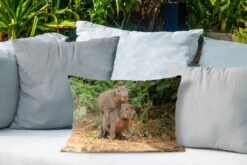 Sierkussen Capibara Voor Buiten - Twee Capibara Jongen Spelen Met Elkaar - 50x30 Cm - Rechthoekig Weerbestendig Tuinkussen / Tuinmeubelkussen Van Polyester 10 Sierkussen Capibara Voor Buiten - Twee Capibara Jongen Spelen Met Elkaar - 50x30 Cm - Rechthoekig Weerbestendig Tuinkussen / Tuinmeubelkussen Van Polyester -Pillowmonkey 1200x800 3092