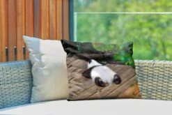 Buitenkussens - Tuin - Slapende Baby Panda - 50x30 Cm -Pillowmonkey 1200x800 3103