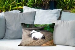 Buitenkussens - Tuin - Slapende Baby Panda - 50x30 Cm -Pillowmonkey 1200x800 3104