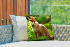 Buitenkussens - Tuin - Rode Vos In Zonlicht - 40x40 Cm 9 Buitenkussens - Tuin - Rode Vos In Zonlicht - 40x40 Cm -Pillowmonkey 1200x800 3107