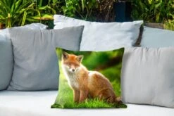 Buitenkussens - Tuin - Rode Vos In Zonlicht - 40x40 Cm 10 Buitenkussens - Tuin - Rode Vos In Zonlicht - 40x40 Cm -Pillowmonkey 1200x800 3108