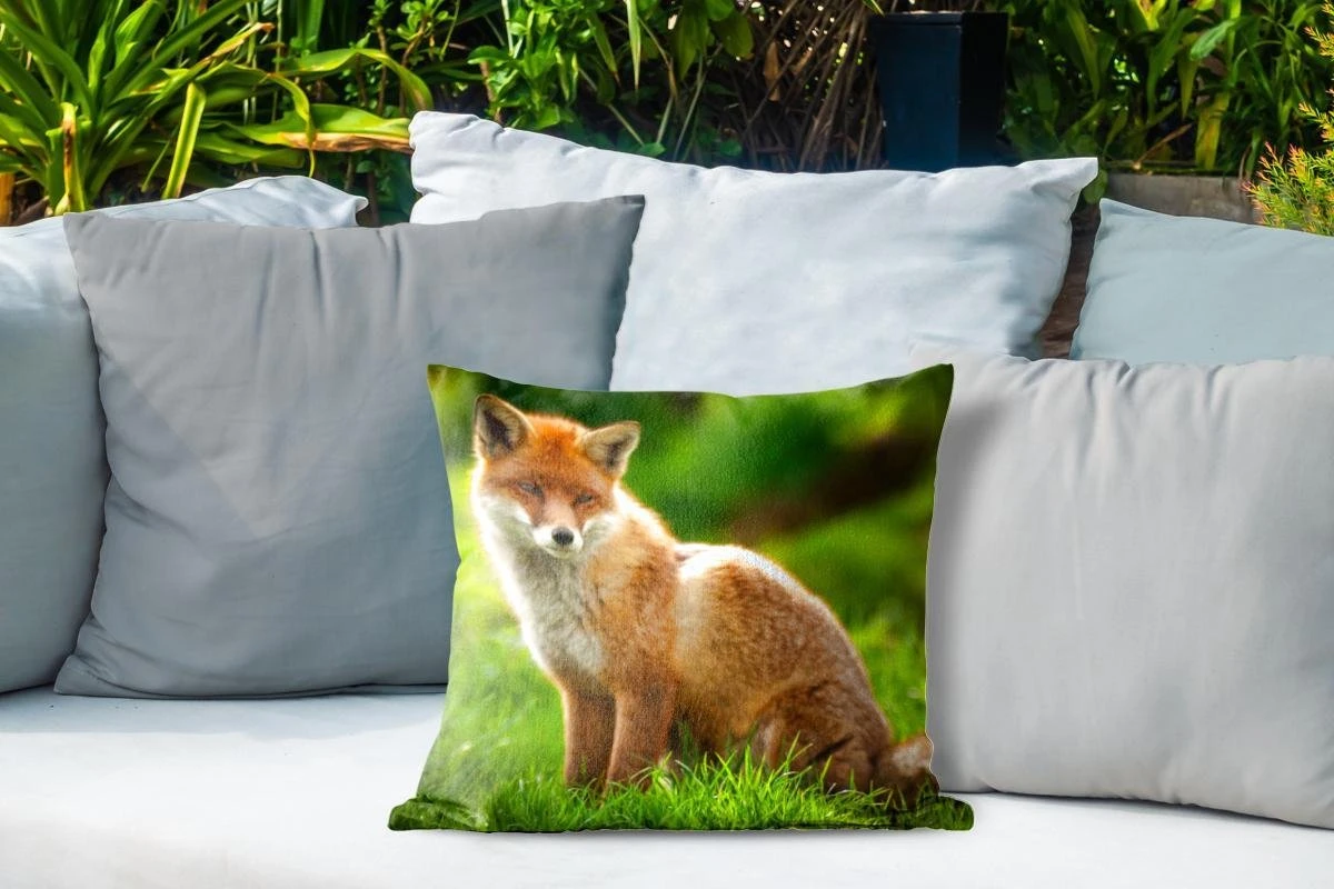 Buitenkussens - Tuin - Rode Vos In Zonlicht - 40x40 Cm 6 Buitenkussens - Tuin - Rode Vos In Zonlicht - 40x40 Cm - Afbeelding 4