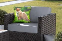 Buitenkussens - Tuin - Rode Vos In Zonlicht - 40x40 Cm 11 Buitenkussens - Tuin - Rode Vos In Zonlicht - 40x40 Cm -Pillowmonkey 1200x800 3109