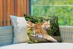 Buitenkussens - Tuin - Siberische Tijger Op Een Tak - 60x40 Cm -Pillowmonkey 1200x800 3111