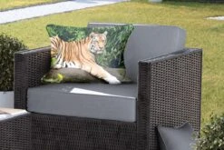 Buitenkussens - Tuin - Siberische Tijger Op Een Tak - 60x40 Cm -Pillowmonkey 1200x800 3113