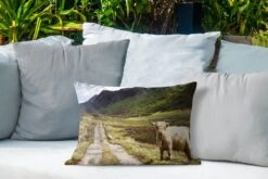Buitenkussens - Tuin - Schots Landschap Met Schotse Hooglander - 50x30 Cm -Pillowmonkey 1200x800 3124