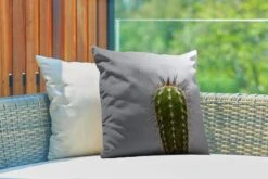 Buitenkussens - Tuin - Cactus Botanische Print - 45x45 Cm -Pillowmonkey 1200x800 3127