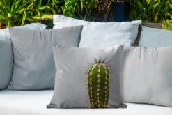 Buitenkussens - Tuin - Cactus Botanische Print - 45x45 Cm -Pillowmonkey 1200x800 3128