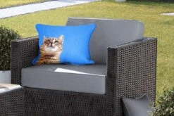 Buitenkussens - Tuin - Kat Met Blauwe Lucht - 50x30 Cm -Pillowmonkey 1200x800 3137