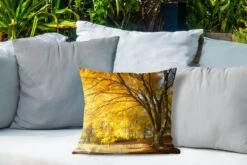 Buitenkussens - Tuin - Gele Bladeren In De Bossen Van Het Engelse Nationaal Park New Forest - 40x40 Cm -Pillowmonkey 1200x800 3140