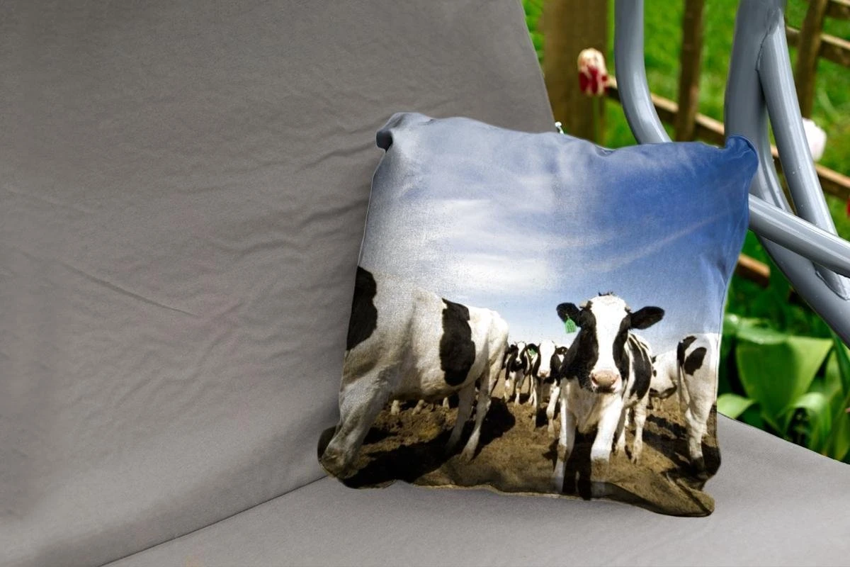 Sierkussen Friese Koe Voor Buiten - Een Grote Kudde Friese Koeien - 45x45 Cm - Vierkant Weerbestendig Tuinkussen / Tuinmeubelkussen Van Polyester 4 Sierkussen Friese Koe Voor Buiten - Een Grote Kudde Friese Koeien - 45x45 Cm - Vierkant Weerbestendig Tuinkussen / Tuinmeubelkussen Van Polyester - Afbeelding 2
