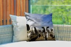 Sierkussen Friese Koe Voor Buiten - Een Grote Kudde Friese Koeien - 45x45 Cm - Vierkant Weerbestendig Tuinkussen / Tuinmeubelkussen Van Polyester 9 Sierkussen Friese Koe Voor Buiten - Een Grote Kudde Friese Koeien - 45x45 Cm - Vierkant Weerbestendig Tuinkussen / Tuinmeubelkussen Van Polyester -Pillowmonkey 1200x800 3147