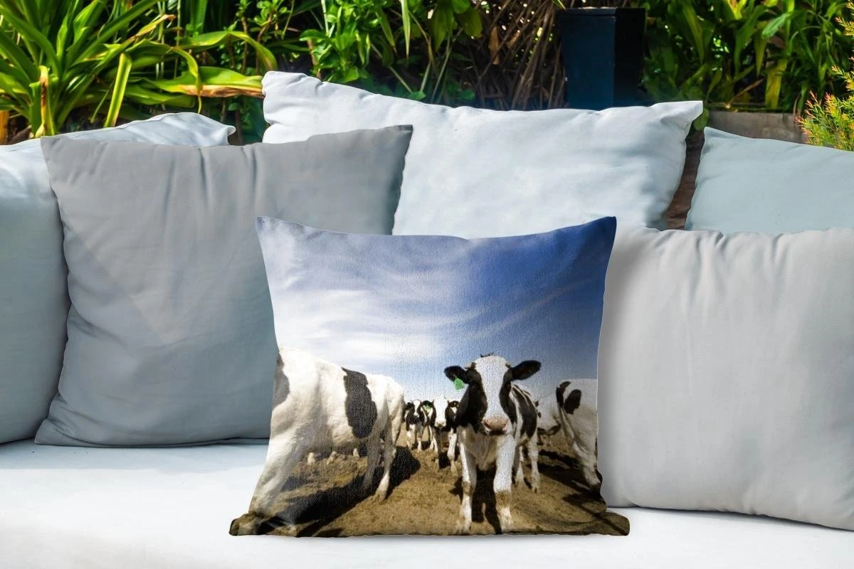 Sierkussen Friese Koe Voor Buiten - Een Grote Kudde Friese Koeien - 45x45 Cm - Vierkant Weerbestendig Tuinkussen / Tuinmeubelkussen Van Polyester 6 Sierkussen Friese Koe Voor Buiten - Een Grote Kudde Friese Koeien - 45x45 Cm - Vierkant Weerbestendig Tuinkussen / Tuinmeubelkussen Van Polyester - Afbeelding 4