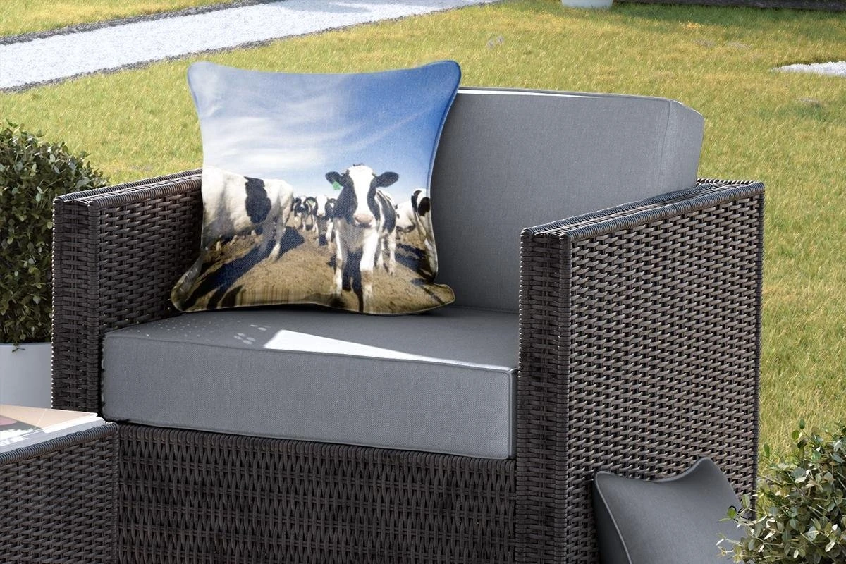 Sierkussen Friese Koe Voor Buiten - Een Grote Kudde Friese Koeien - 45x45 Cm - Vierkant Weerbestendig Tuinkussen / Tuinmeubelkussen Van Polyester 7 Sierkussen Friese Koe Voor Buiten - Een Grote Kudde Friese Koeien - 45x45 Cm - Vierkant Weerbestendig Tuinkussen / Tuinmeubelkussen Van Polyester - Afbeelding 5