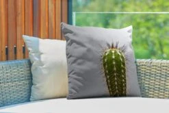 Buitenkussens - Tuin - Cactus Botanische Print - 50x50 Cm -Pillowmonkey 1200x800 3163