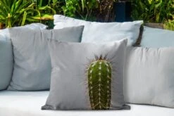 Buitenkussens - Tuin - Cactus Botanische Print - 50x50 Cm -Pillowmonkey 1200x800 3164