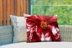 Buitenkussens - Tuin - Een Uitgebloeide Rode Pioenroos - 60x40 Cm 9 Buitenkussens - Tuin - Een Uitgebloeide Rode Pioenroos - 60x40 Cm -Pillowmonkey 1200x800 3183