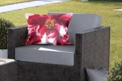 Buitenkussens - Tuin - Een Uitgebloeide Rode Pioenroos - 60x40 Cm 11 Buitenkussens - Tuin - Een Uitgebloeide Rode Pioenroos - 60x40 Cm -Pillowmonkey 1200x800 3185