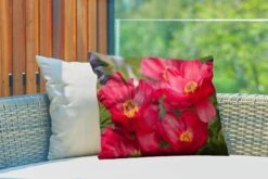 Buitenkussens - Tuin - De Rode Pioenrozen In De Natuur - 60x40 Cm -Pillowmonkey 1200x800 3199