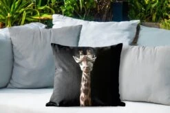 Buitenkussens - Tuin - Giraffe Met Bril Op Zwarte Achtergrond - 45x45 Cm -Pillowmonkey 1200x800 3220