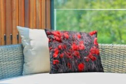 Buitenkussens - Tuin - Rode Klaprozen In Een Zwart Wit Afbeelding - 50x30 Cm -Pillowmonkey 1200x800 3243