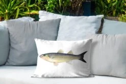 Buitenkussens - Tuin - Goudharder Vis Op Een Witte Achtergrond - 50x30 Cm -Pillowmonkey 1200x800 3260