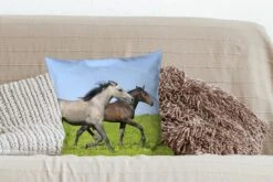 Kussenhoes 45x45 Cm - Paarden - Dieren - Gras - Katoen / Polyester - Voor Binnen -Pillowmonkey 1200x800 334