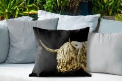 Buitenkussen Weerbestendig - Schotse Hooglander - Koe - Goud - 50x50 Cm -Pillowmonkey 1200x800 3340