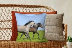 Kussenhoes 45x45 Cm - Paarden - Dieren - Gras - Katoen / Polyester - Voor Binnen -Pillowmonkey 1200x800 335
