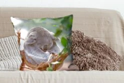 Kussenhoes 60x60 Cm - Koala - Takken - Bladeren - Kinderen - Jongens - Meisjes - Katoen / Polyester - Voor Binnen -Pillowmonkey 1200x800 353