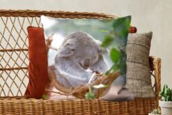 Kussenhoes 60x60 Cm - Koala - Takken - Bladeren - Kinderen - Jongens - Meisjes - Katoen / Polyester - Voor Binnen -Pillowmonkey 1200x800 354