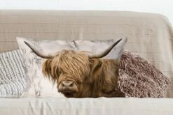 Kussenhoes 60x40 Cm - Schotse Hooglander - Marmer - Dieren - Katoen / Polyester - Voor Binnen -Pillowmonkey 1200x800 534
