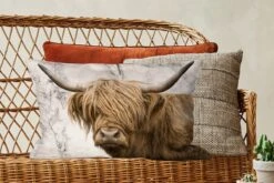 Kussenhoes 60x40 Cm - Schotse Hooglander - Marmer - Dieren - Katoen / Polyester - Voor Binnen -Pillowmonkey 1200x800 535