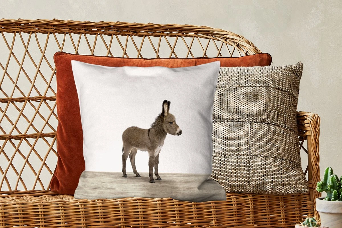 Kussenhoes 45x45 Cm - Dieren - Ezel - Grijs - Katoen / Polyester - Voor Binnen 6 Kussenhoes 45x45 Cm - Dieren - Ezel - Grijs - Katoen / Polyester - Voor Binnen - Afbeelding 4