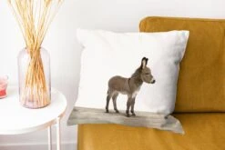 Kussenhoes 45x45 Cm - Dieren - Ezel - Grijs - Katoen / Polyester - Voor Binnen 12 Kussenhoes 45x45 Cm - Dieren - Ezel - Grijs - Katoen / Polyester - Voor Binnen -Pillowmonkey 1200x800 540