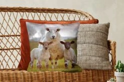 Kussenhoes 45x45 Cm - Schapen - Gras - Portret - Katoen / Polyester - Voor Binnen -Pillowmonkey 1200x800 575