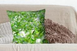 Kussenhoes 60x60 Cm - Groene Planten Op Ondergrond Van Tropisch Gebied - Katoen / Polyester - Voor Binnen -Pillowmonkey 1200x800 692