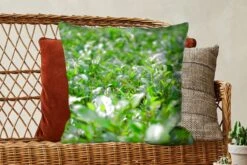 Kussenhoes 60x60 Cm - Groene Planten Op Ondergrond Van Tropisch Gebied - Katoen / Polyester - Voor Binnen -Pillowmonkey 1200x800 693