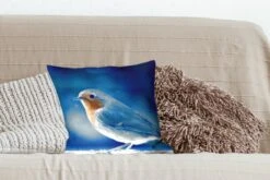 Kussenhoes 40x40 Cm - Roodborstje - Blauw - Sneeuw - Katoen / Polyester - Voor Binnen -Pillowmonkey 1200x800 722