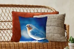 Kussenhoes 40x40 Cm - Roodborstje - Blauw - Sneeuw - Katoen / Polyester - Voor Binnen -Pillowmonkey 1200x800 723