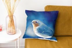 Kussenhoes 40x40 Cm - Roodborstje - Blauw - Sneeuw - Katoen / Polyester - Voor Binnen -Pillowmonkey 1200x800 724