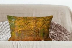Kussenhoes 60x40 Cm - Gouden Bladeren In De Bossen Van Het Engelse Nationaal Park New Forest - Katoen / Polyester - Voor Binnen -Pillowmonkey 1200x800 729