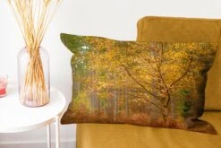 Kussenhoes 60x40 Cm - Gouden Bladeren In De Bossen Van Het Engelse Nationaal Park New Forest - Katoen / Polyester - Voor Binnen -Pillowmonkey 1200x800 731