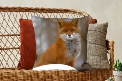 Kussenhoes 50x50 Cm - Vos - Bos - Rood - Katoen / Polyester - Voor Binnen -Pillowmonkey 1200x800 743